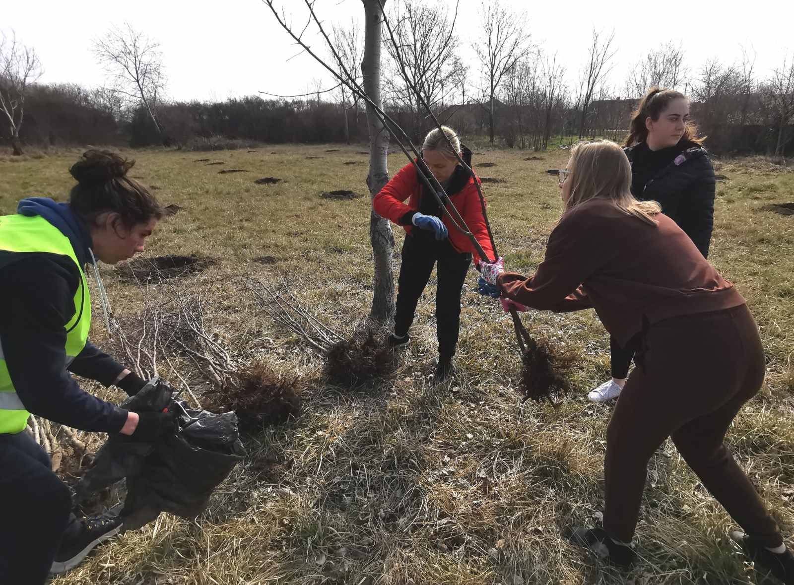 Svetski dan šuma Carnex obeležio sadnjom 140 stabala u Savinom Selu